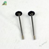 Axe et piston amortisseur arri�re (2pcs)