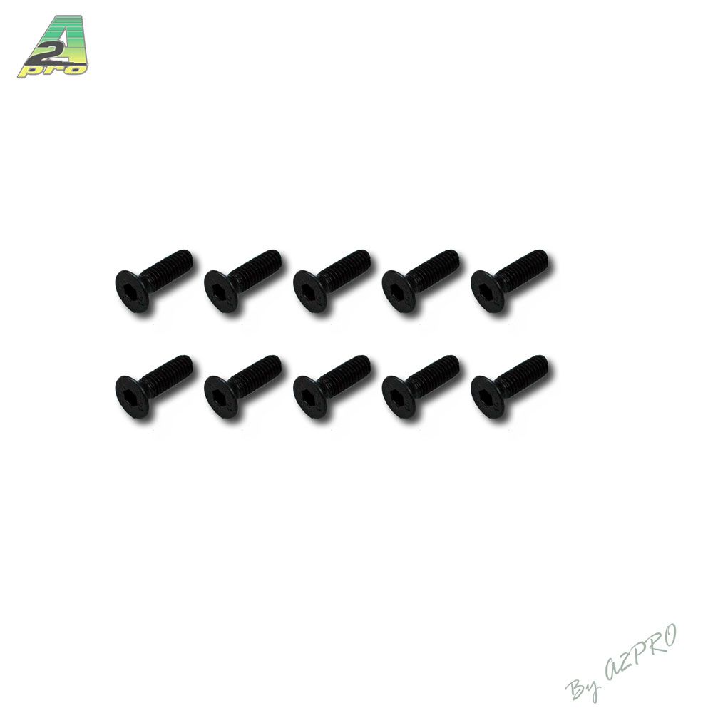 Vis t&ecirc;te plate M3x10 (10pcs)