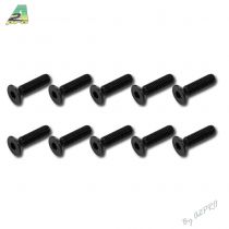 Vis t&ecirc;te plate M3x12 (10pcs)