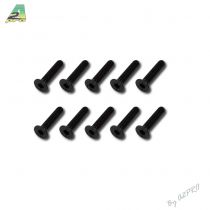 Vis t&ecirc;te plate M3x14 (10pcs)