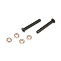 ECX 1/8th Buggy -Pivots de direction avec paliers - HORIZON HOBBY - R&eacute;f&eacute;rence: ECX0843