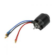 Parkzone Moteur 480B Cage tournante Brushless: Radian - HORIZON HOBBY - R&eacute;f&eacute;rence: PKZ4716
