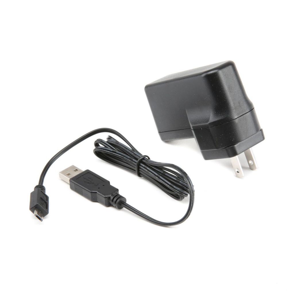 DX6R - Chargeur et cordon - HORIZON HOBBY - R&eacute;f&eacute;rence: SPM9057