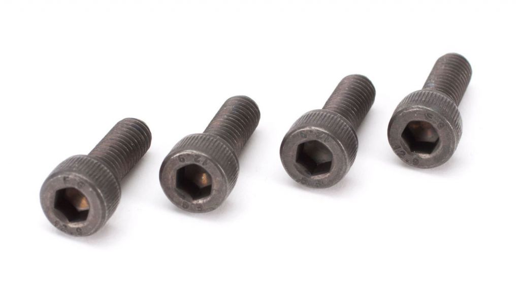Muffler bolts (M5x14 (2)) ZP38 - HORIZON HOBBY - R&eacute;f&eacute;rence: ZENP3813