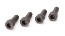Muffler bolts (M5x14 (2)) ZP38 - HORIZON HOBBY - R&eacute;f&eacute;rence: ZENP3813