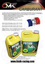 CLEAN ENGINE - D&eacute;capant moteur (Bidon de 250 ml)