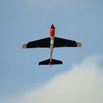 E-FLITE V900 BNF Basic v2 - avec cone en alu - R&eacute;f&eacute;rence: EFL7450