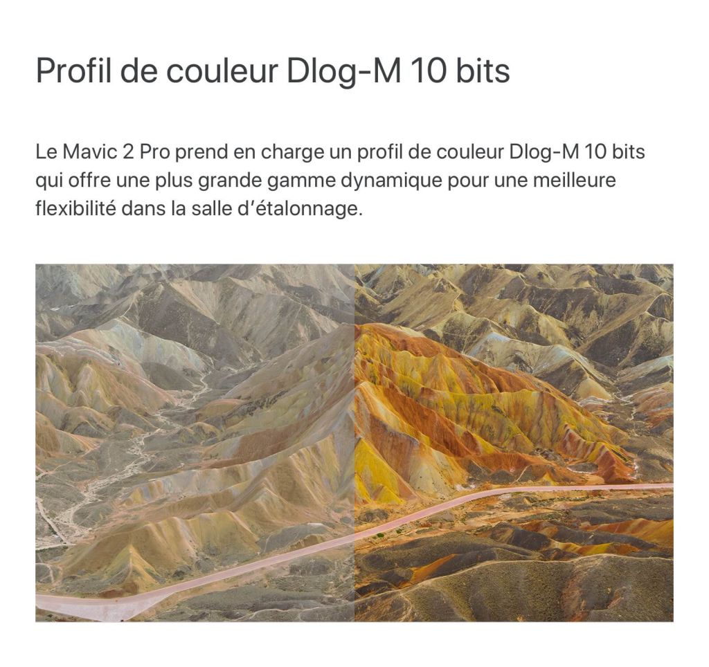 Mavic 2 Pro DJI avec Hasselblad L1D-20C