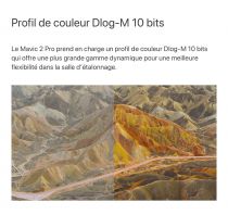 Mavic 2 Pro DJI avec Hasselblad L1D-20C